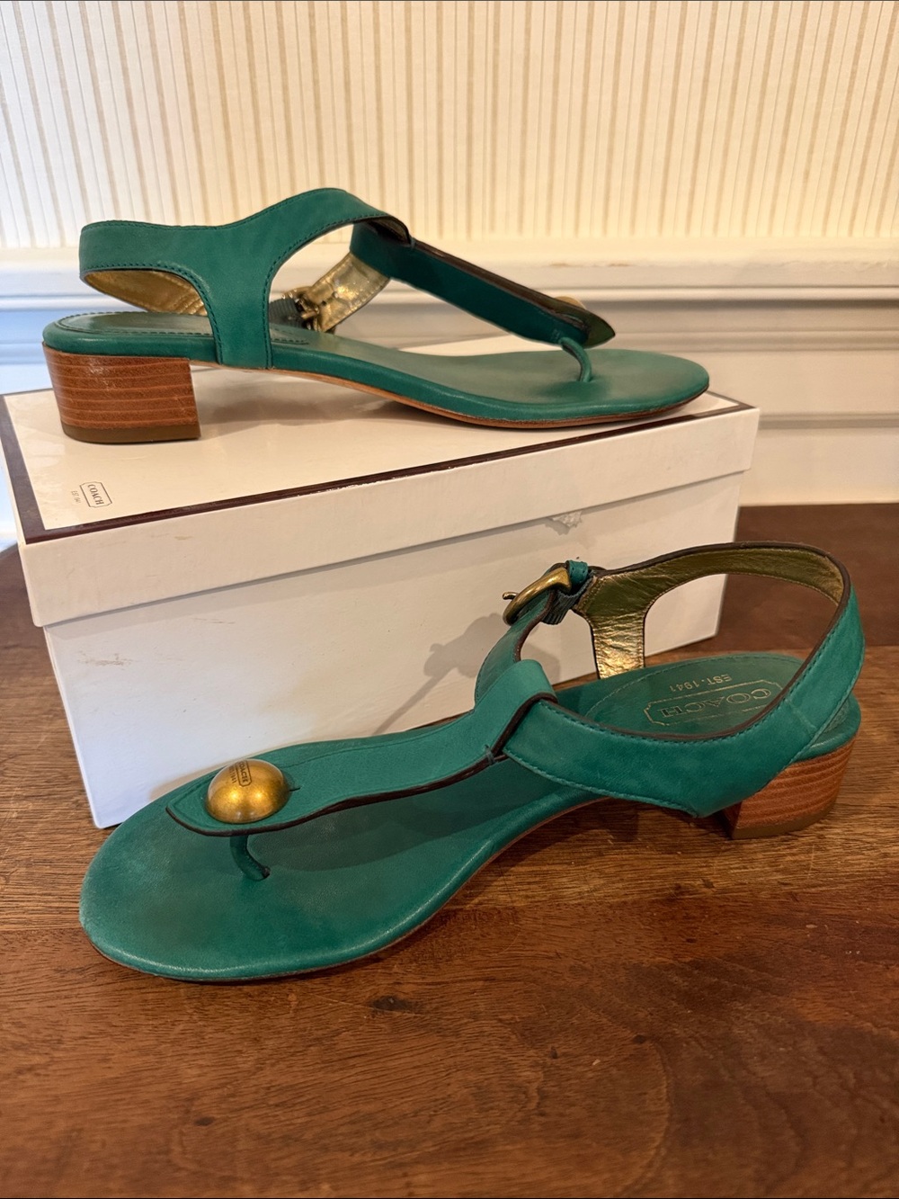 Coach Teal Leather Thong Sandals with Gold Accent and Low Stacked Heel